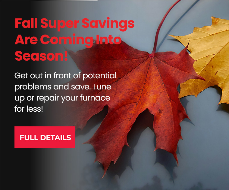 Campaign Static Subpage