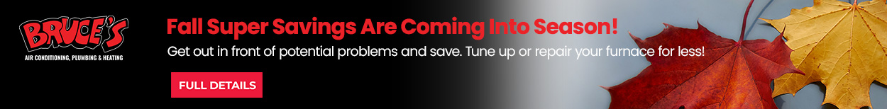 Campaign Static Homepage